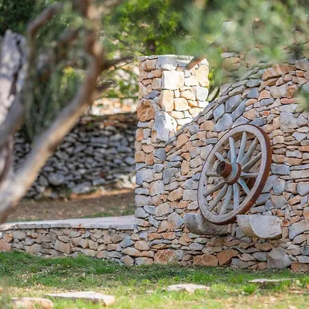 Rustic Mario With A Pool * Povlja (Brac)