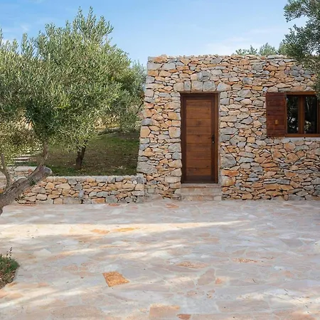 Rustic Mario With A Pool * Povlja (Brac)