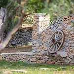 Rustic Mario With A Pool * Povlja (Brac)